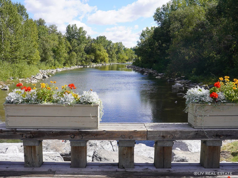 Sunnyside Homes for Sale in Calgary’s City Centre Liv Real Estate